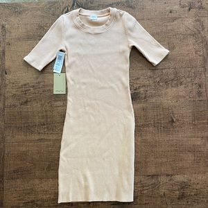 Aritzia Wilfred Free Astoria dress in GD Tuscany Rose 2XS